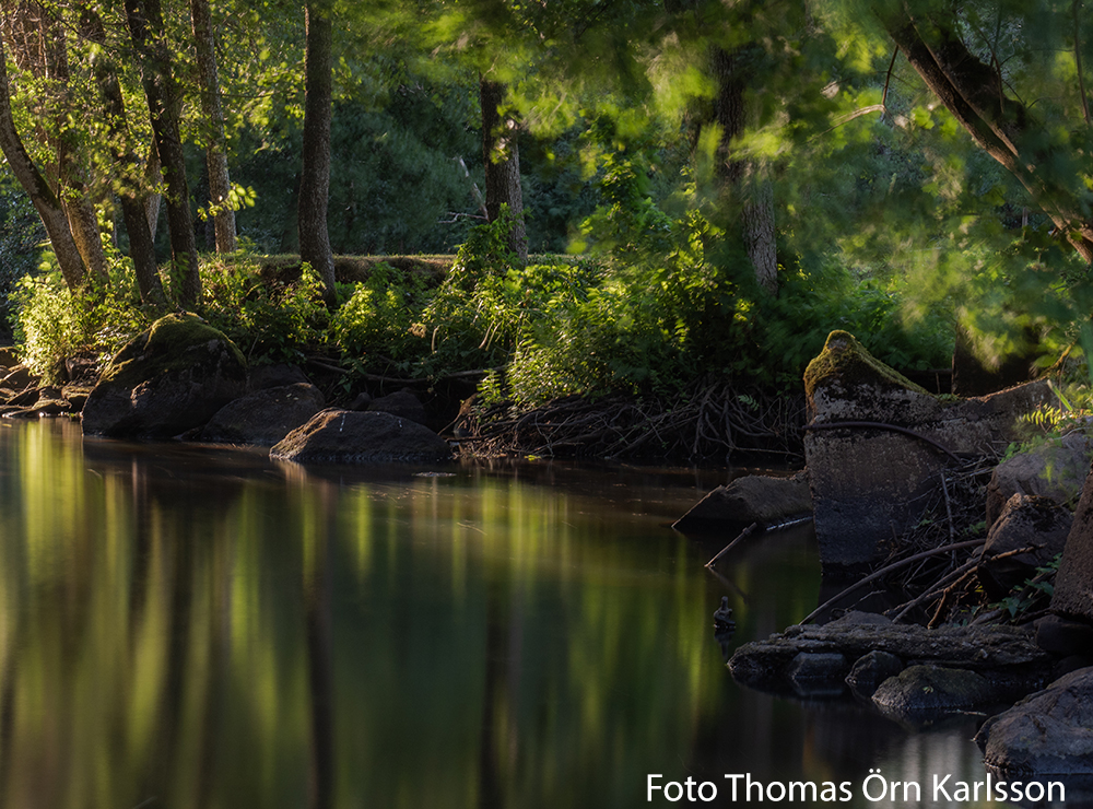Nossan fotograf Thomas Örn Karlsson